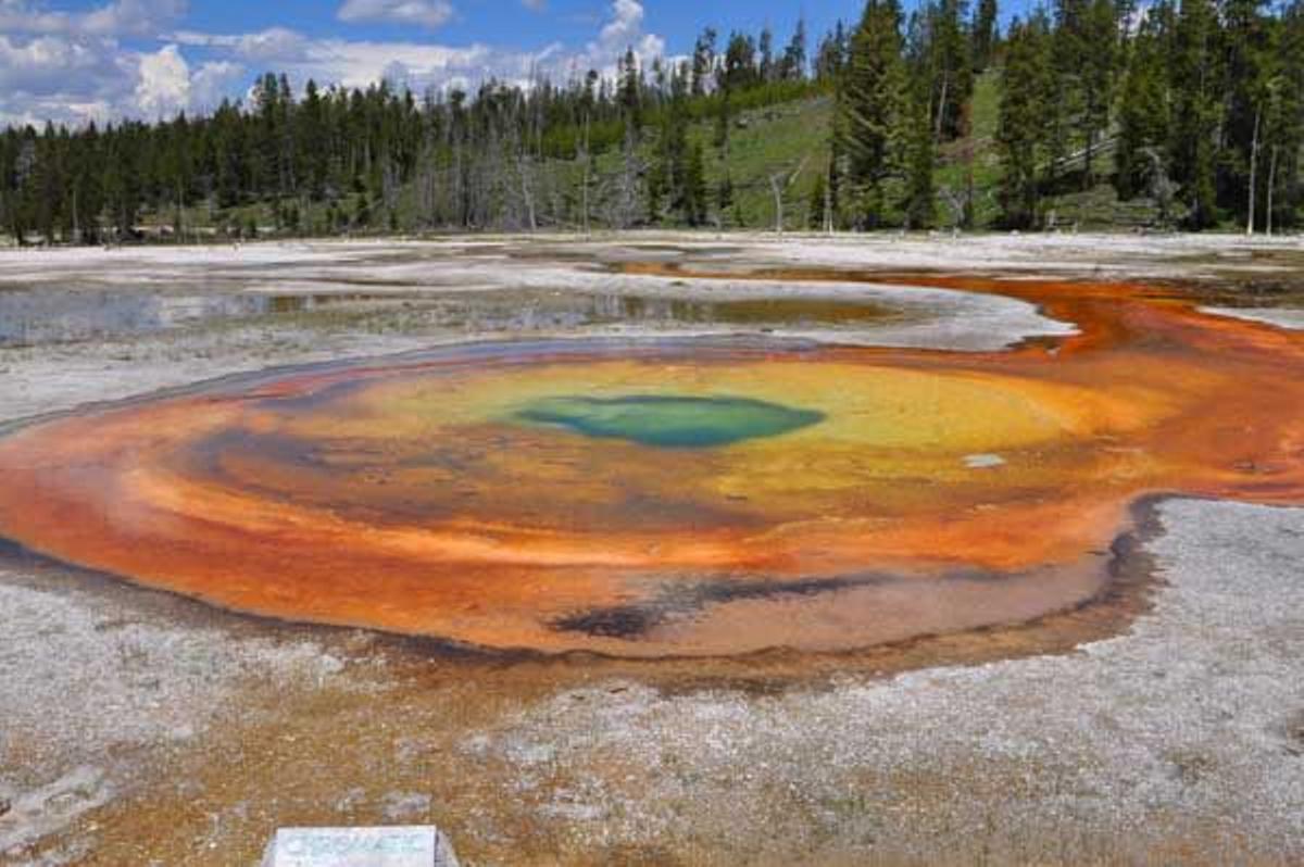 Descubrir el hogar del oso Yogui en el Parque Yellowstone