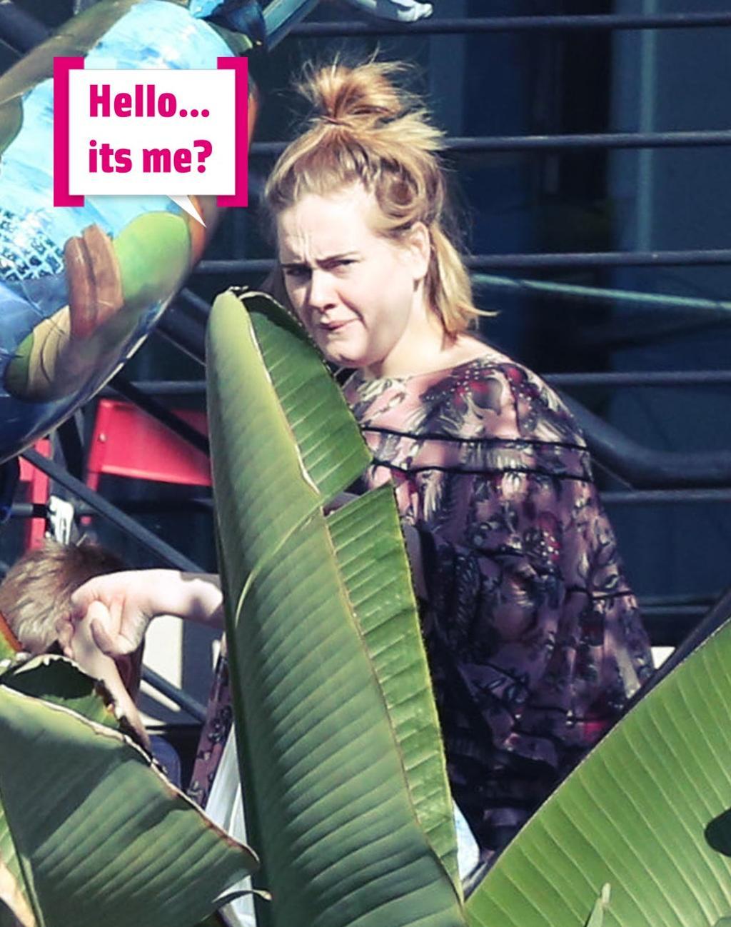 Adele con bocadillo: "Hello... Its me?"