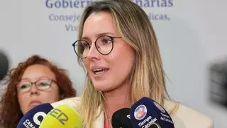 Canarias insta a Madrid a cumplir el REF en las ayudas al transporte