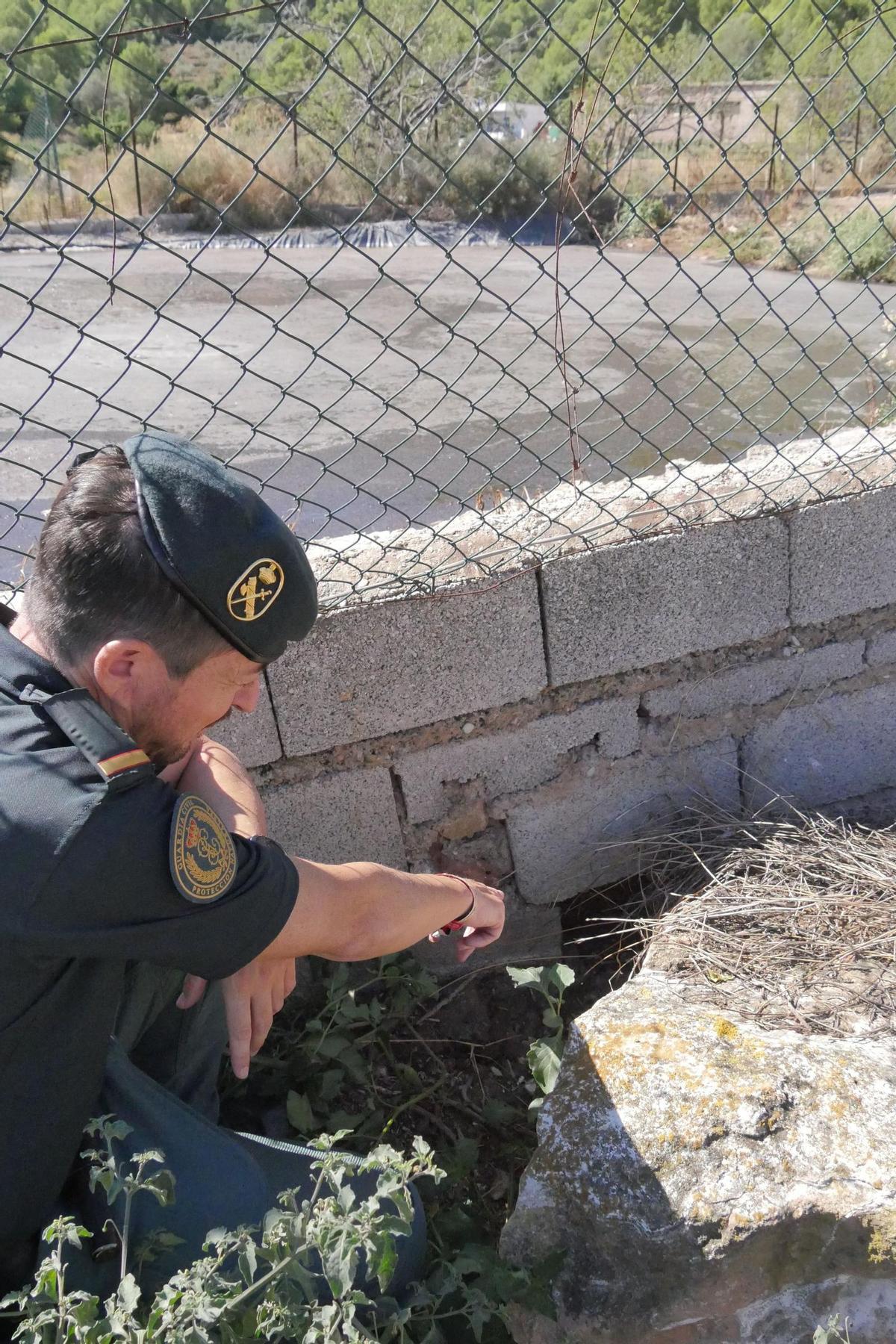 El escenario de uno de los mayores vertidos de purines: un desastre medioambiental