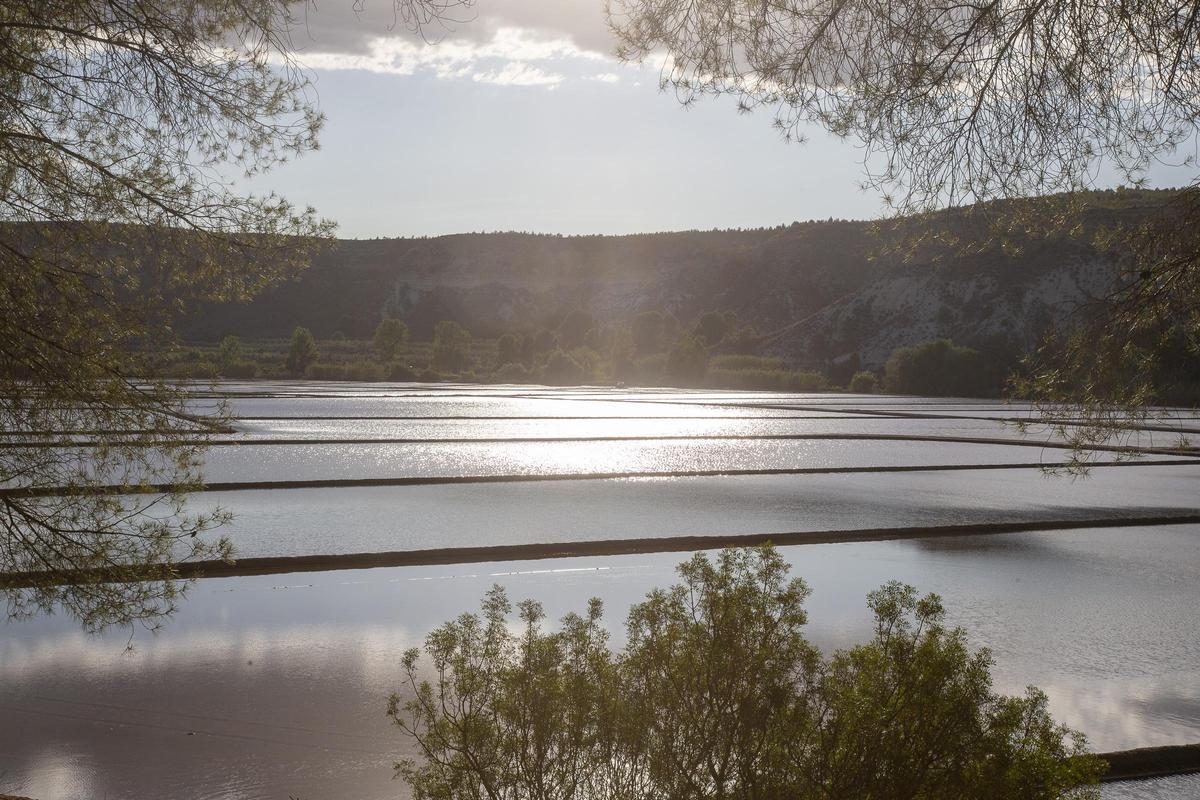 Presentación de las Rutas del Arroz 2024