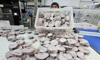 Europa se abre a excluir de su rebaja arancelaria a la pesca «insostenible»
