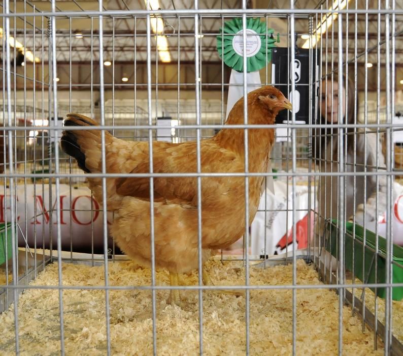 40ª Feira Internacional Semana Verde de Galicia