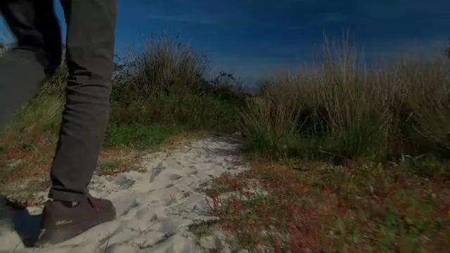 Paddy Bushe, Carlos Núñez e doce voces cantan á fin da terra en 'Bela Fisterra'