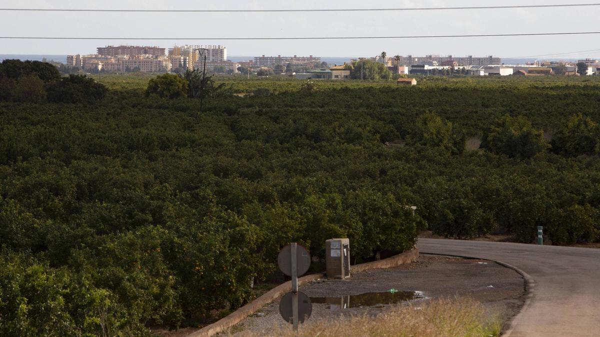 Vista de la partida de Montíber donde se han previsto las fotovoltaicas.