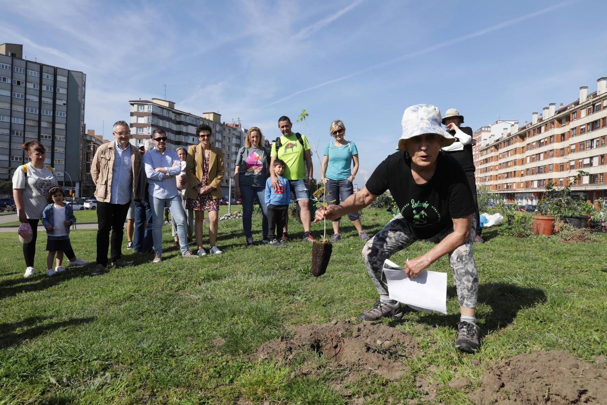 Así fue la plantación de árboles en el Solarón (en imágenes)