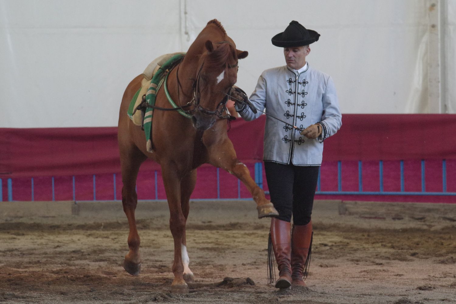 Feria de Málaga 2023 I El baile a caballo en el Centro de Exhibición Ecuestre del Real