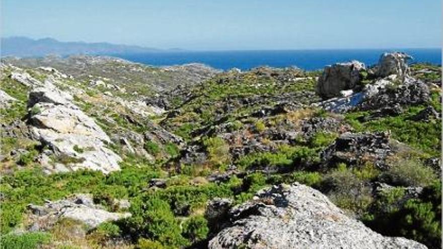 Roca d&#039;Es Camell, a la reserva natural de Cap de Creus, a Roses.