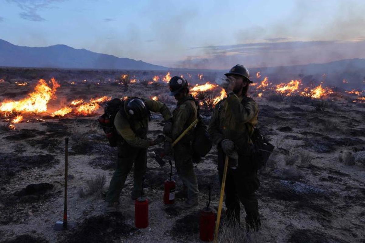 Arde la Reserva Nacional de Mojave entre California a Nevada