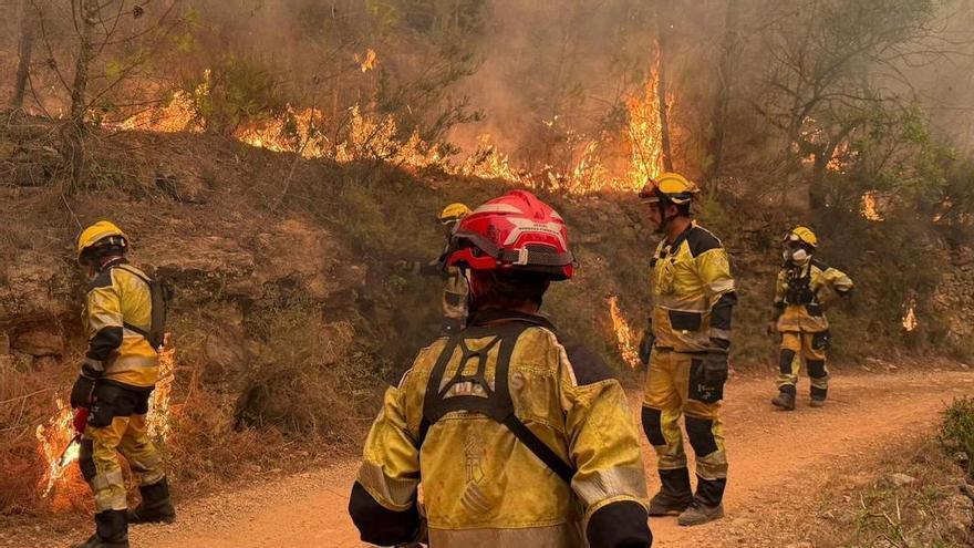 "La mejor prevención contra los incendios empieza recuperando el mosaico paisajístico"