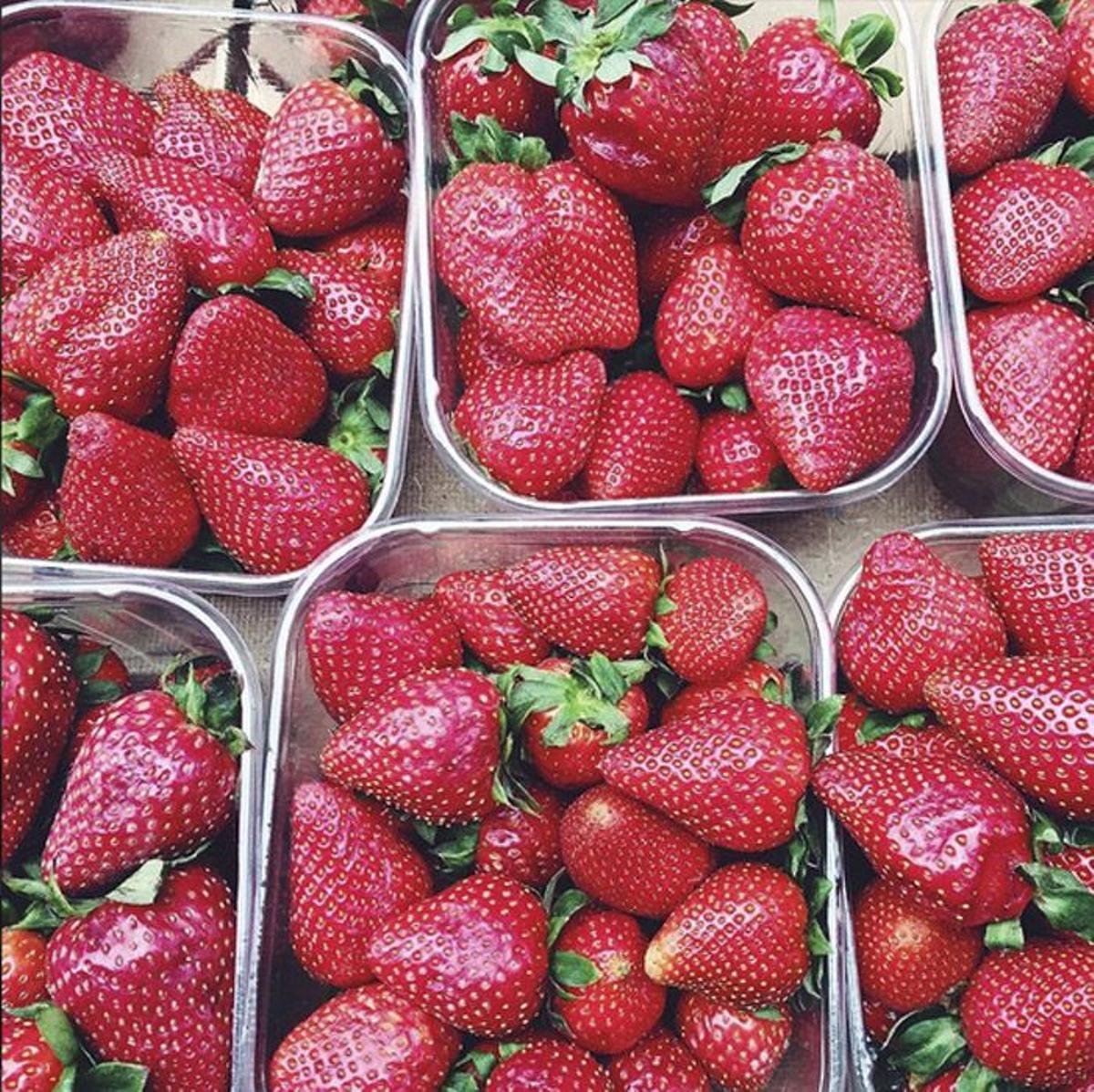 Superalimentos: fresas