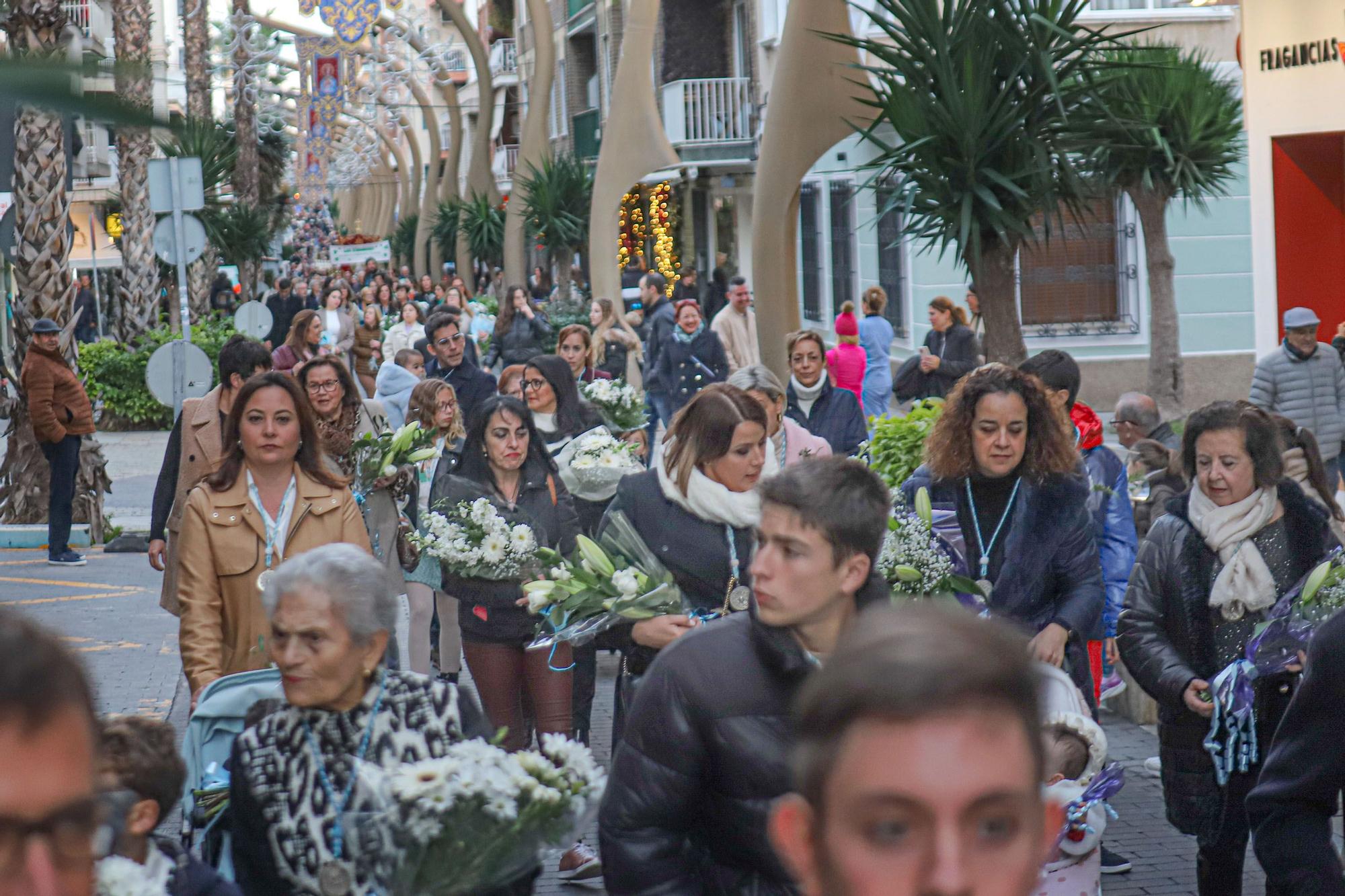 Más de 70 entidades y asociaciones participan en la multitudinaria ofrenda a la patrona que vistió de flores la fachada de iglesia de la Inmaculada Concepción