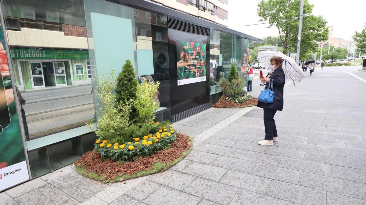 Inauguración del ZGZ Florece