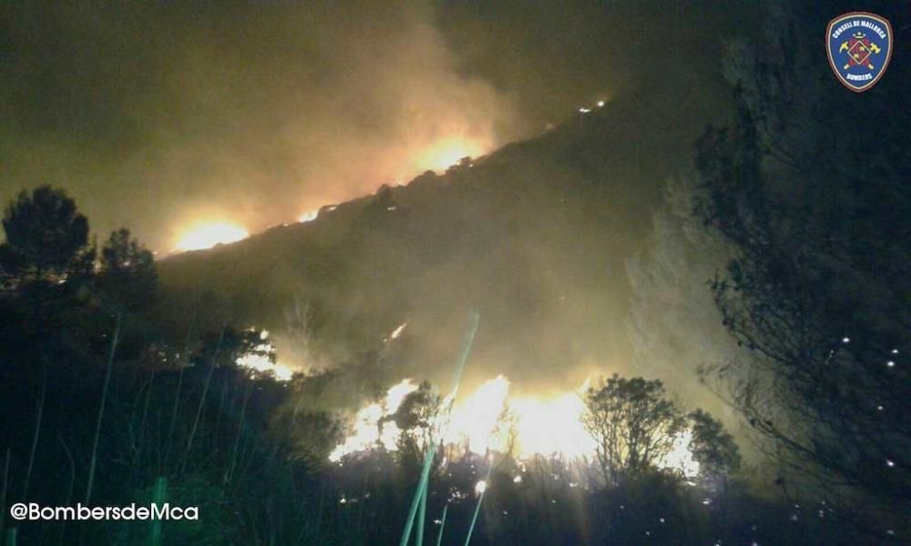 Waldbrand Pollença Mallorca