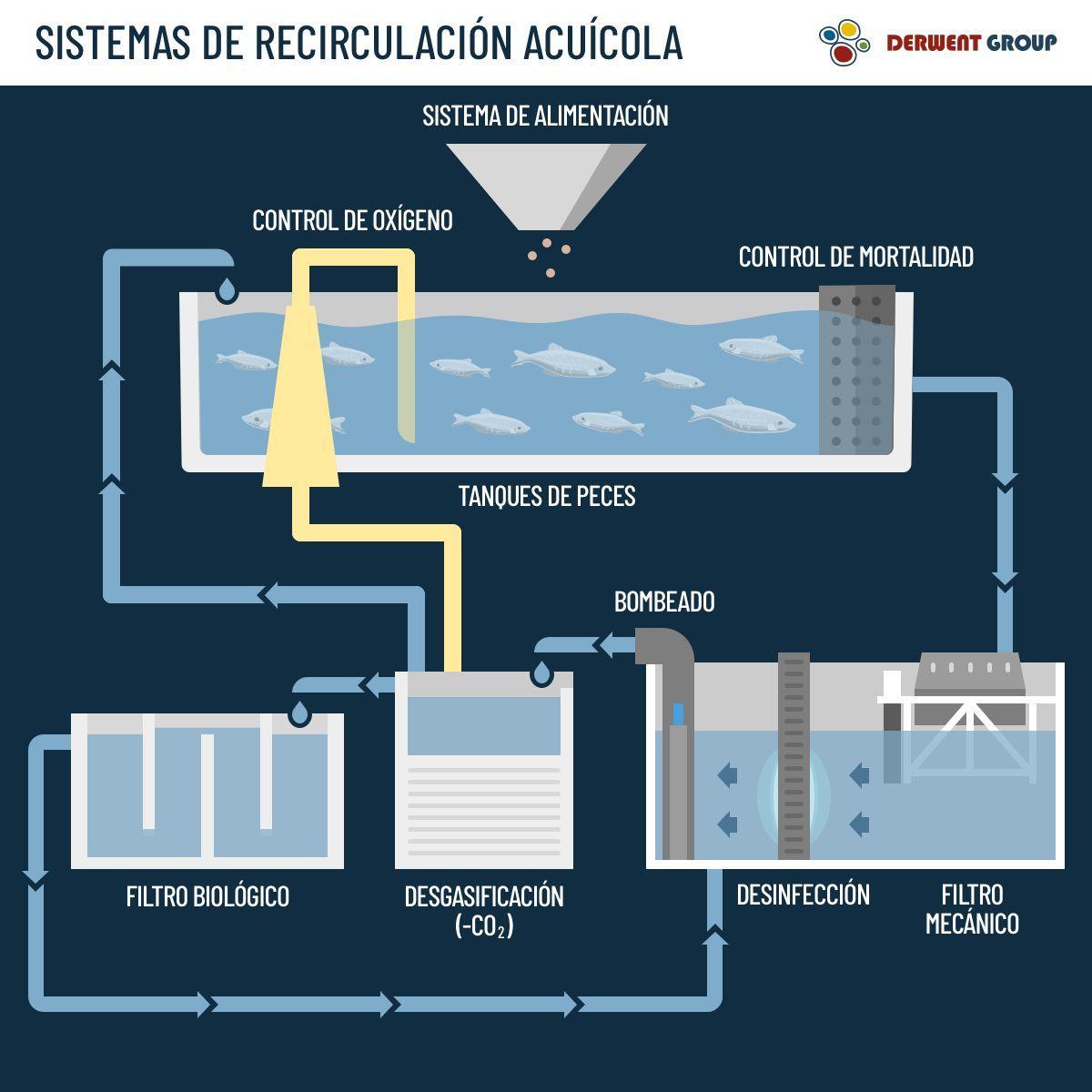 Infografía de un circuito RAS