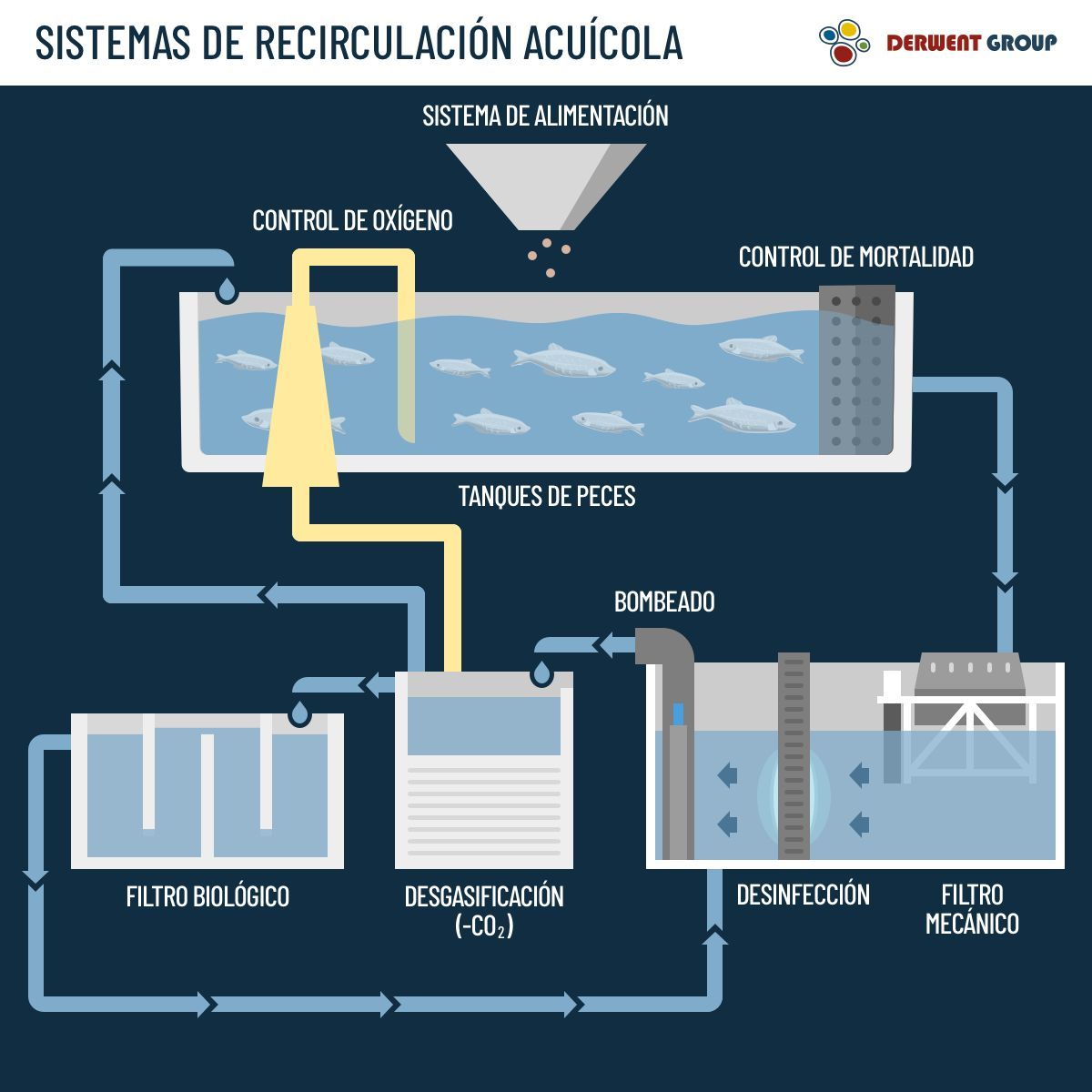 Infografía de un circuito RAS