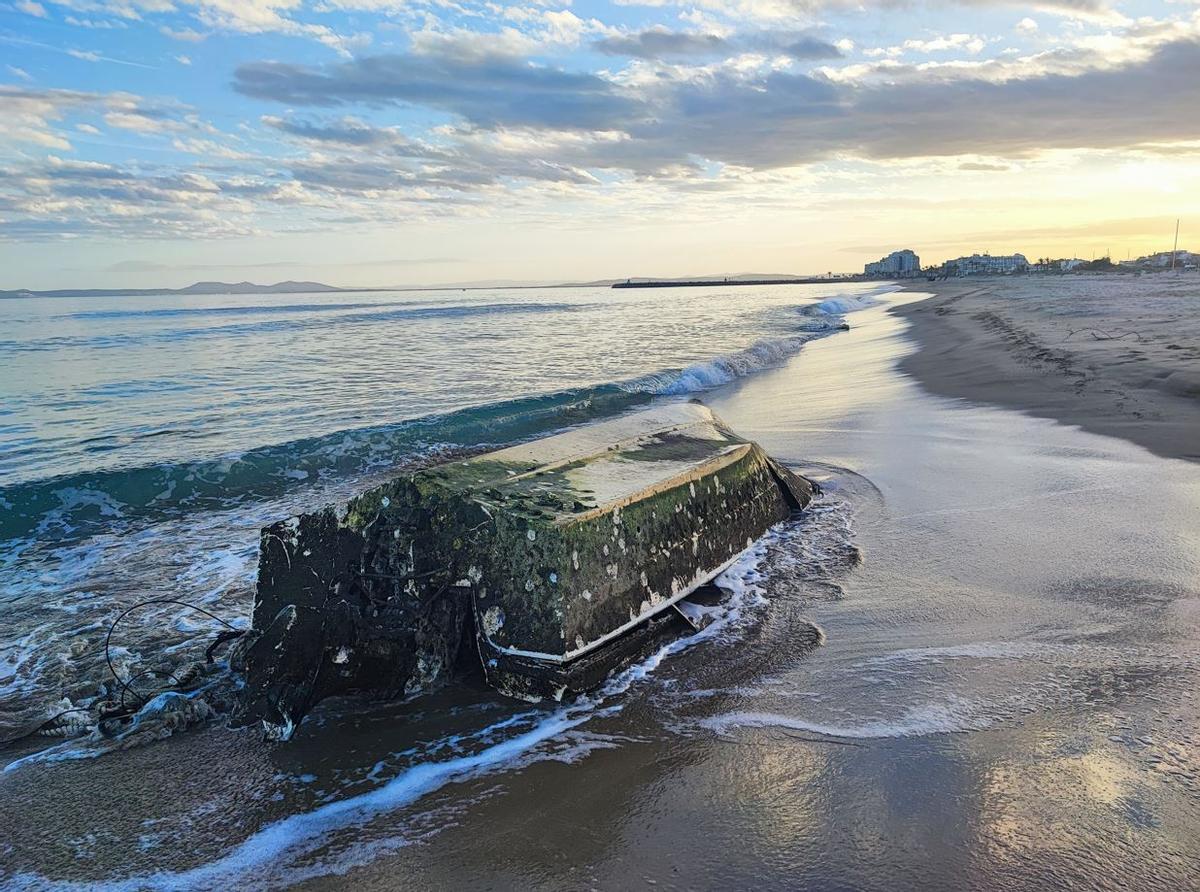 "Si quan hi ha una emergència mediambiental Medi Ambient no hi actua amb rapidesa, per què hi és?", reflexiona l'autor de la carta.