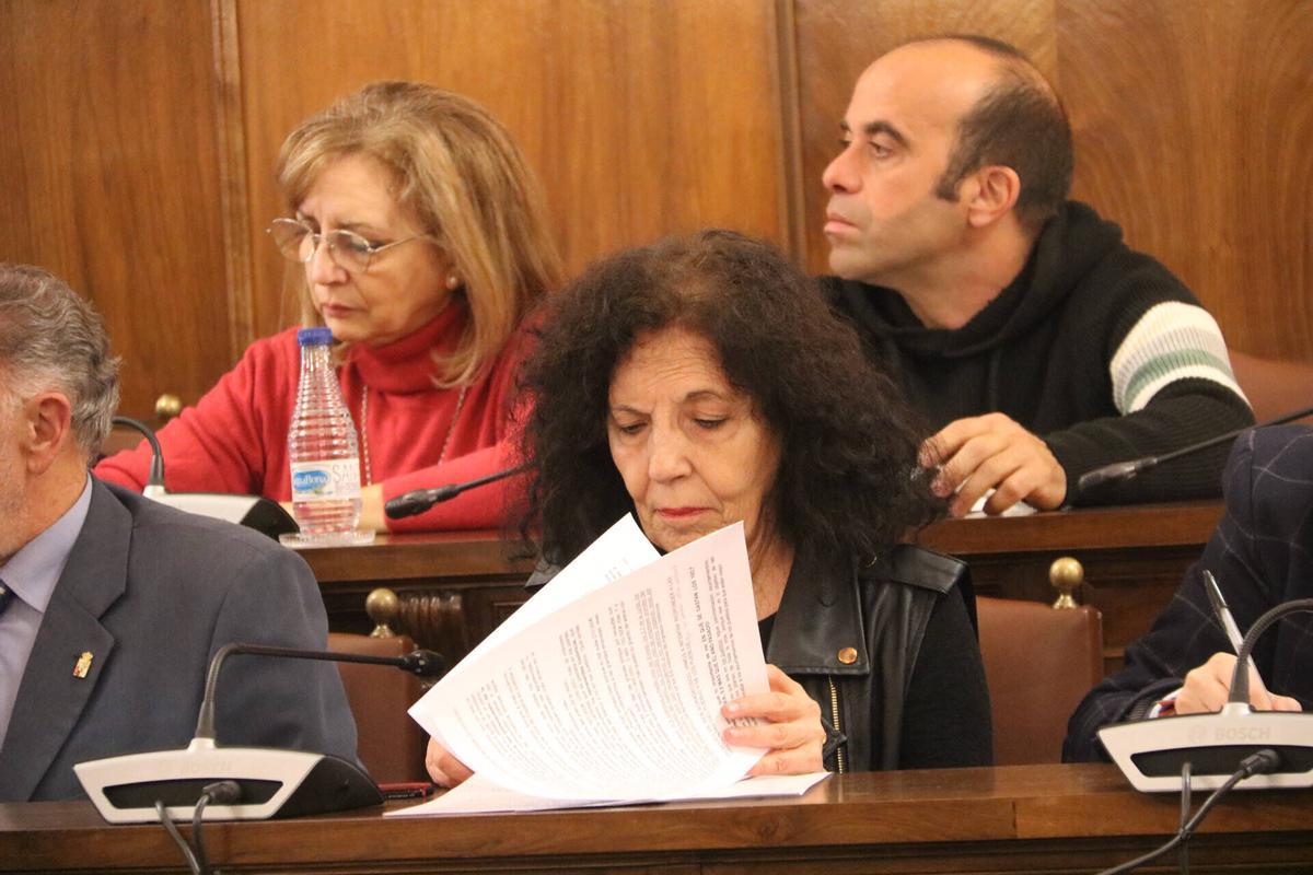 PLENO ORDINARIO DIPUTACIÓN DE ZAMORA