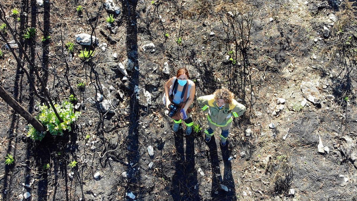 Miembros de la Unidad de Investigación de Incendios Forestales de la Xunta, en una imagen de archivo