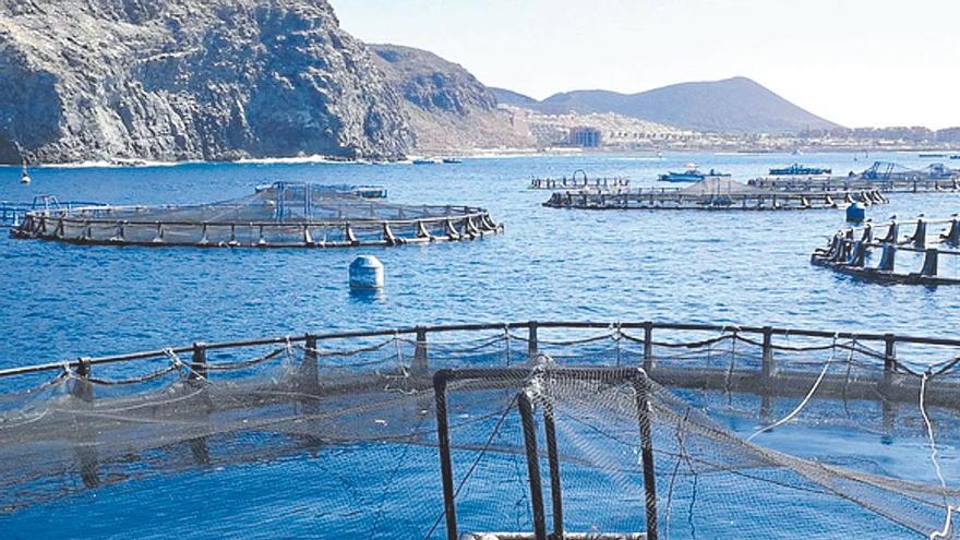 Jaulas acuáticas en Canarias