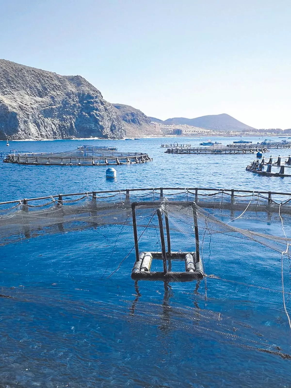 La acuicultura: una larga tradición en Canarias que la une al mar