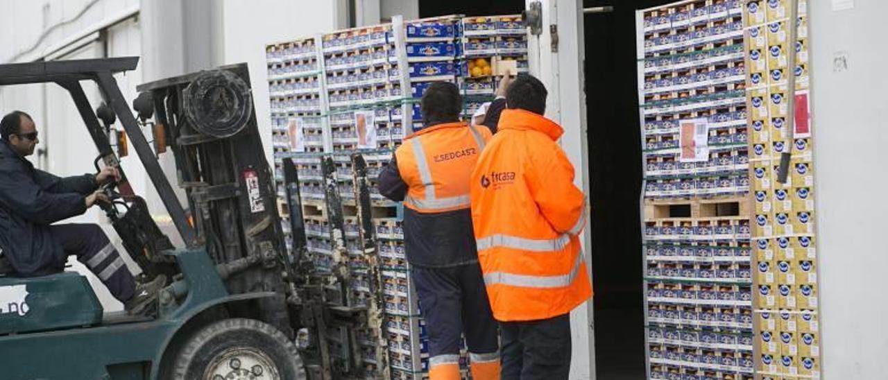 Mercancía de cítricos en el puerto de Castelló.