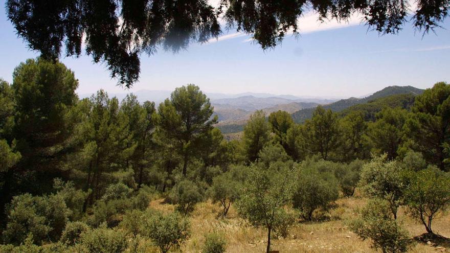 Una imagen de los Montes de Málaga.