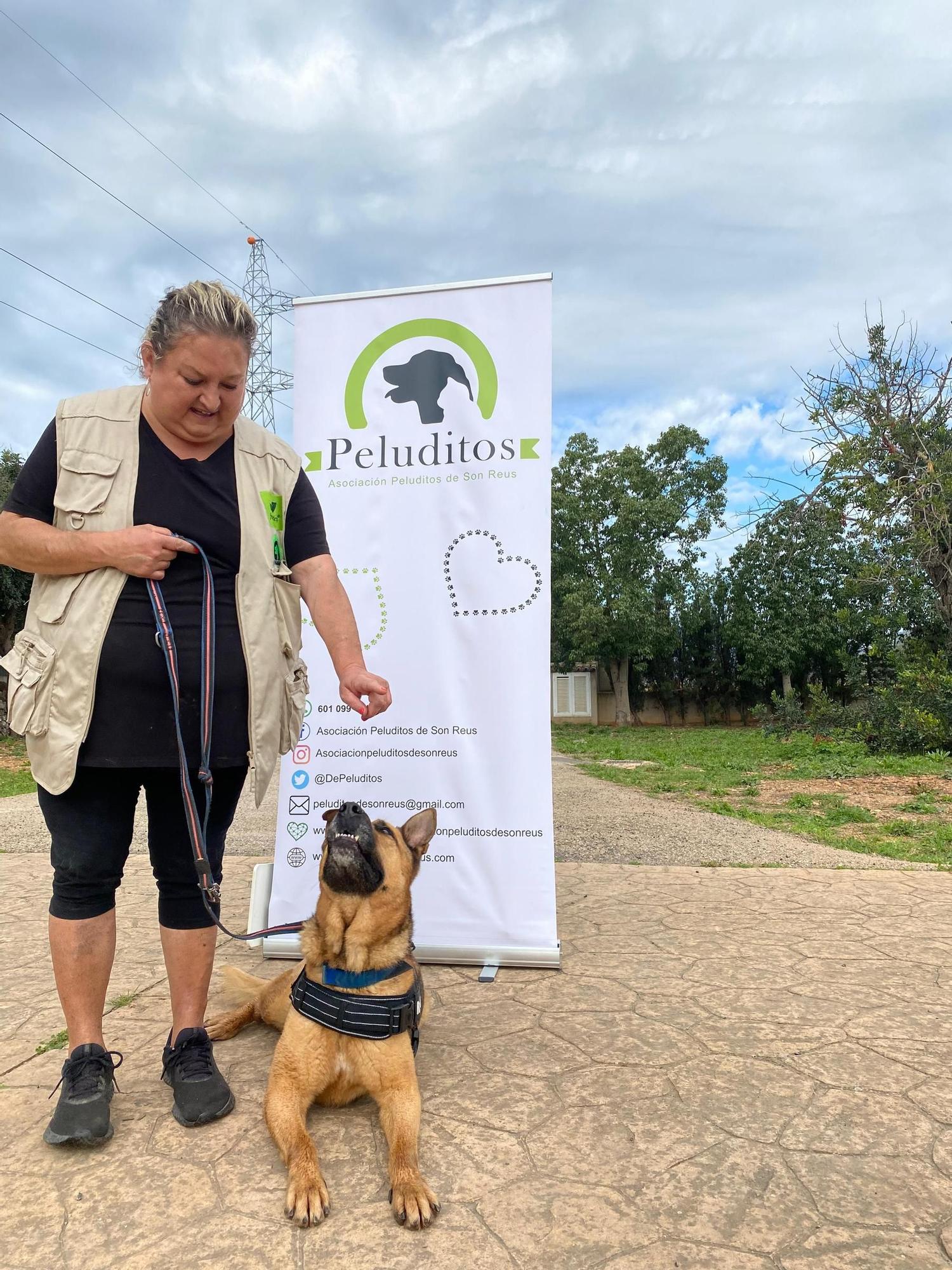 Así ha sido el desfile de Peluditos de Son Reus: Decenas de perros buscan un hogar en Mallorca