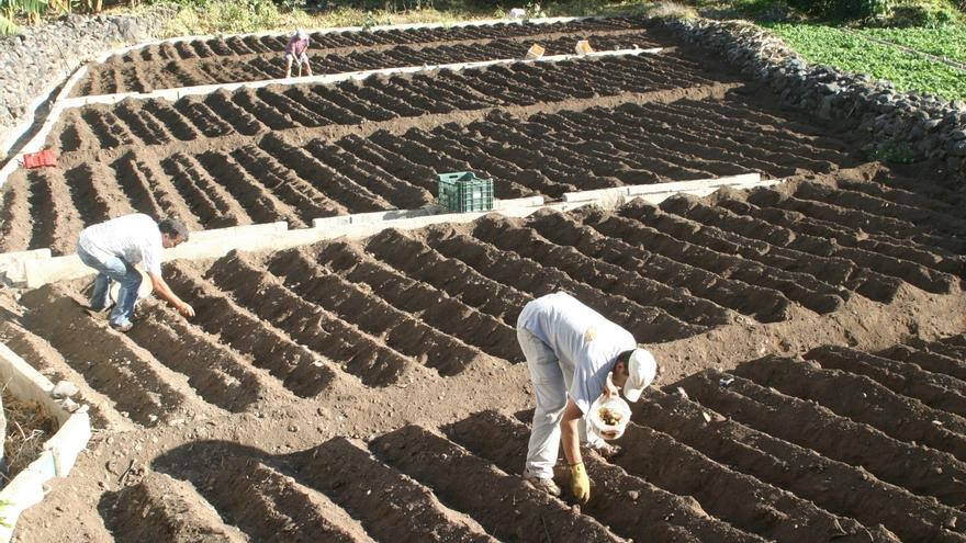 La población en los municipios rurales de Canarias crece un 55% en Canarias en 25 años