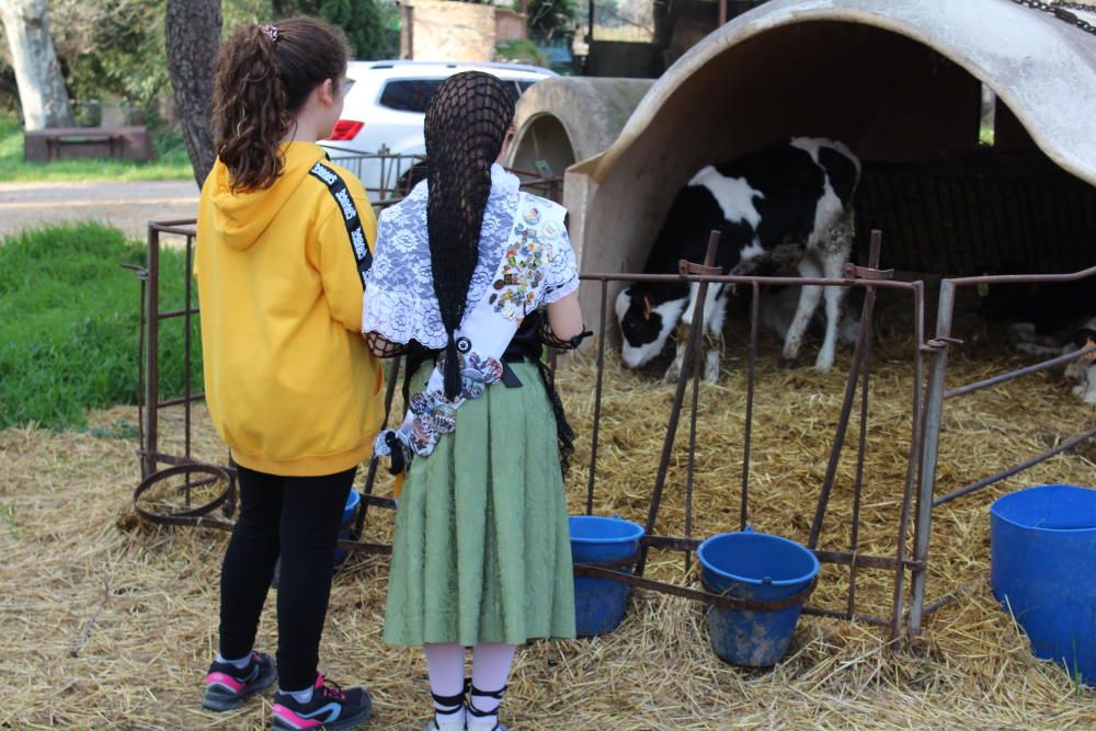 Pletòric Aplec de Sant pau de la Calçada