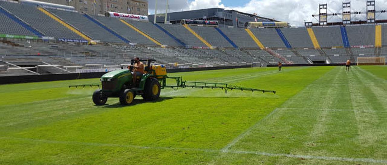 El césped del Estadio de Gran Canaria va a peor y no mejora