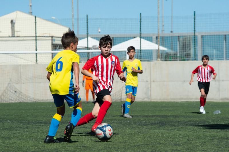 Las Palmas - Huracán (alevines)  | 01/02/2020 | Fotógrafo: Tony Hernández