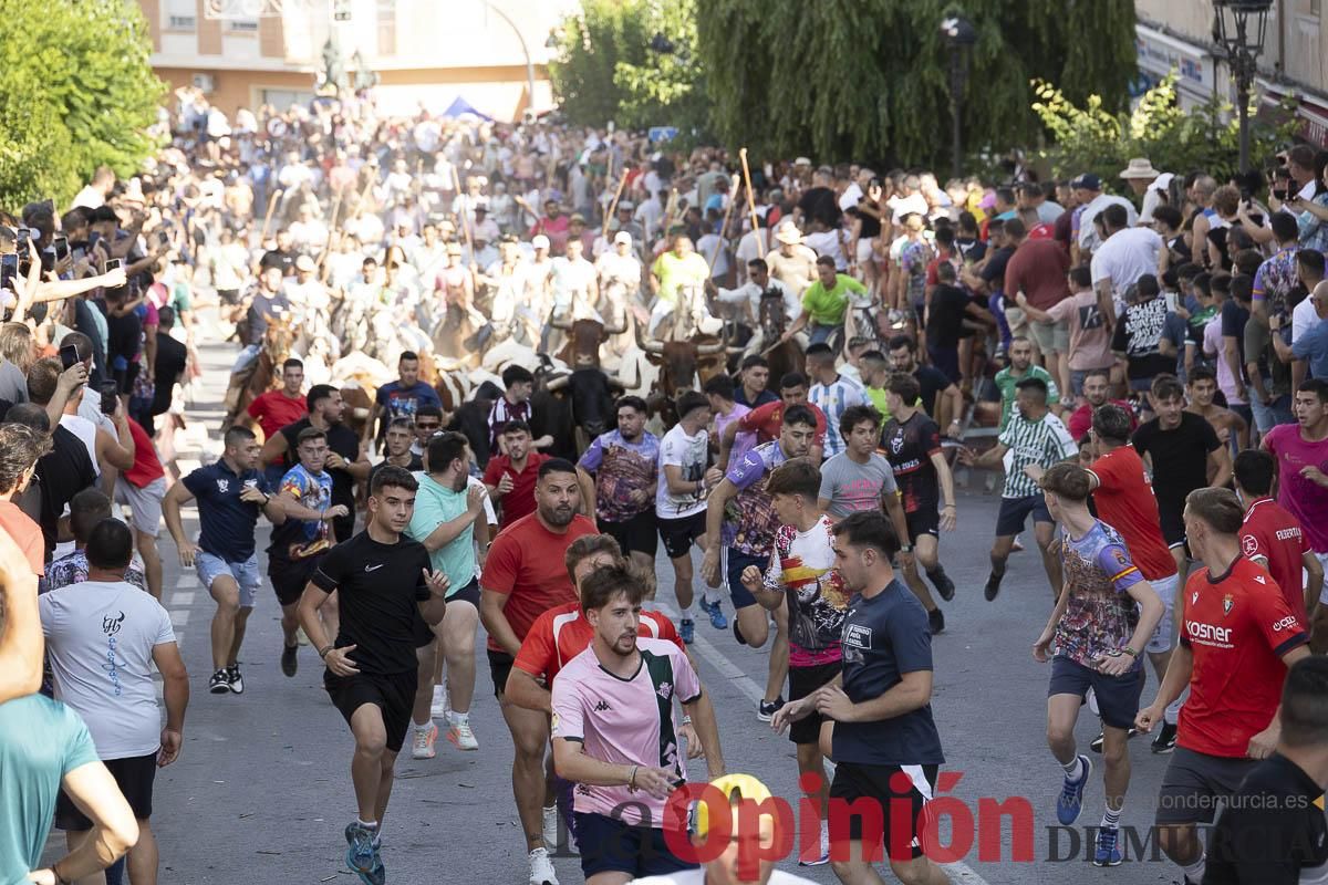 El segundo encierro de las Fiestas de Moratalla se salda con un herido