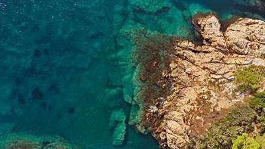 Visió aèria d&#039;un blancall a la Costa Brava.