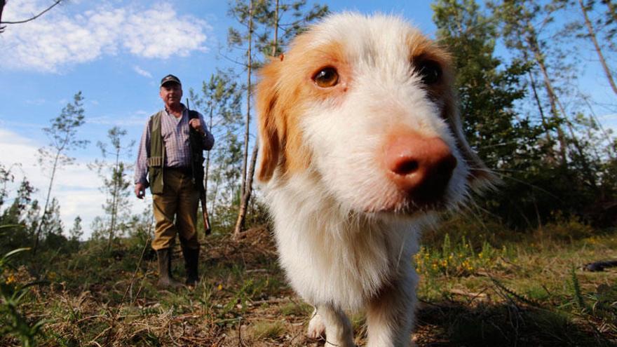 Un cazador con su perro.