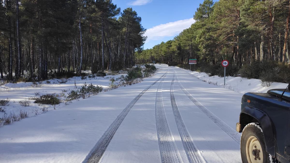 GALERÍA | La nieve del temporal Filomena llega a Aliste