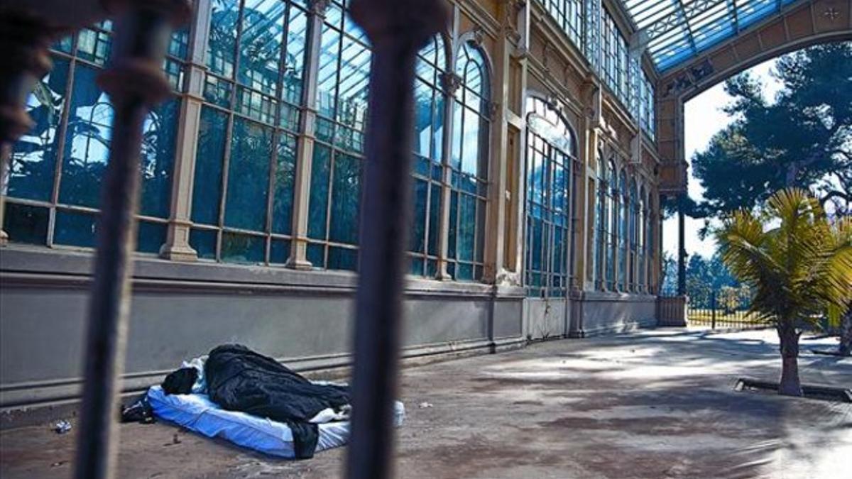 Un indigente en el Hivernacle del parque de la Ciutadella, en enero.