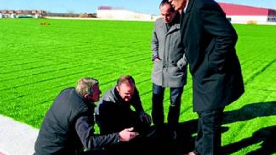 El nuevo campo de césped estará listo a finales de mes - El Periódico