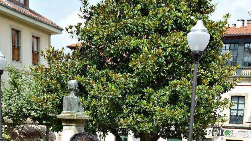 El joven empresario Pablo Sánchez, en Villaviciosa.