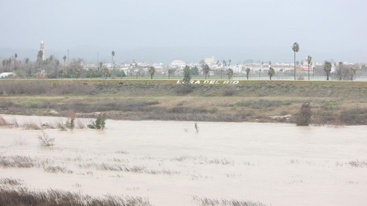 Imagen del río Guadalquivir a su paso por la localidad sevillana de Lora del Río antes de la borrasca Leonardo..
