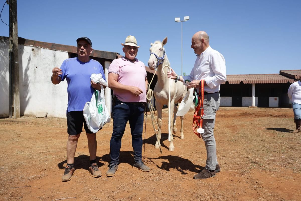 Fotogalería | Así se ha desarrollado la feria equina de Cáceres