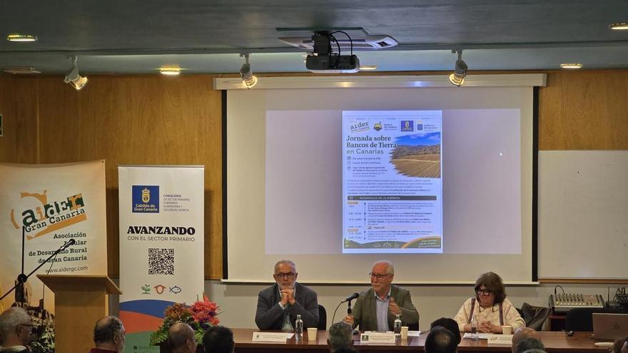 El Banco de Tierras rescata el campo abandonado de Gran Canaria: 248 hectáreas buscan quien las cultive