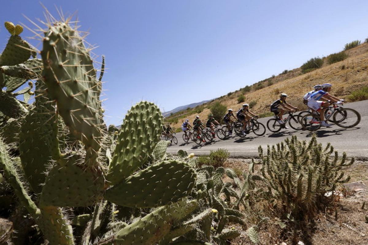 Las imágenes de la etapa de La Vuelta 2015