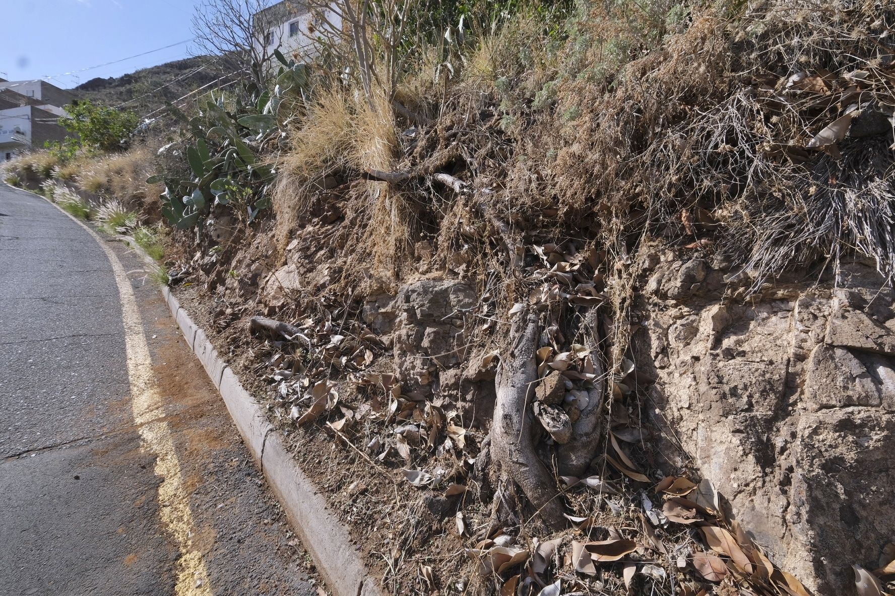 Estado de Valleseco, María Jiménez y El Rebolado en Santa Cruz de Tenerife