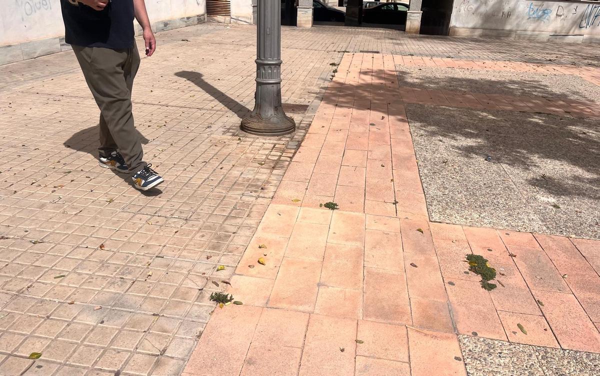 Alcorque tapado en la zona trasera de la escoleta de Sanchis Guarner.