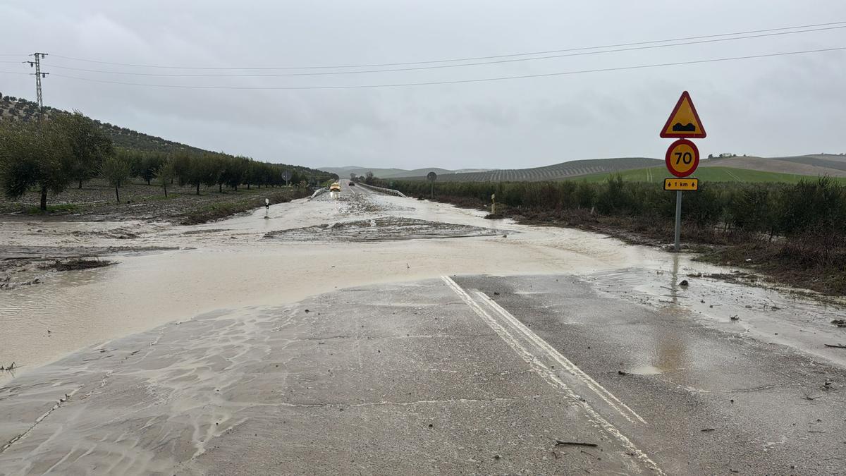 Carretera cortada en el término municipal de Bujalance.