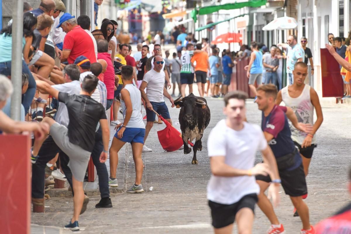 Primer encierro taurino en El Viso