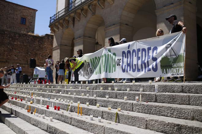 Protesta del 'No a la mina' en la Plaza Mayor de Cáceres