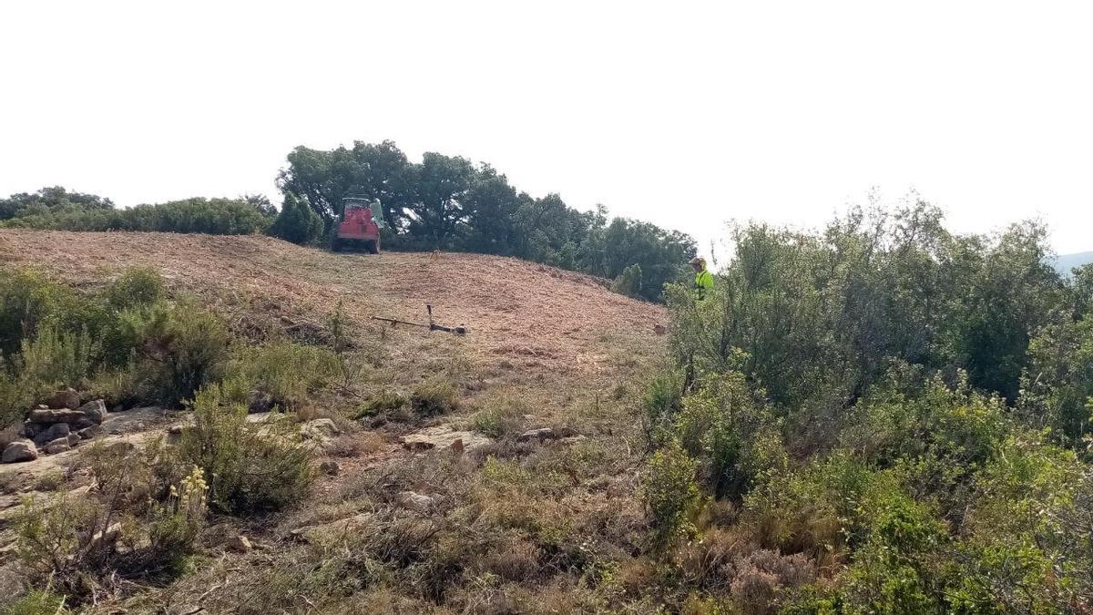 Foto de los primeros trabajos para hacer realidad la MAT en el interior de Castellón.