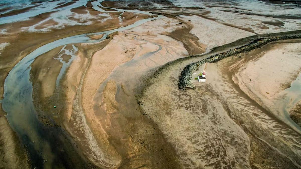 Los ríos son uno de los principales transportadores de sedimentos a los océanos de la Tierra, con millones de toneladas depositadas a lo largo del tiempo.